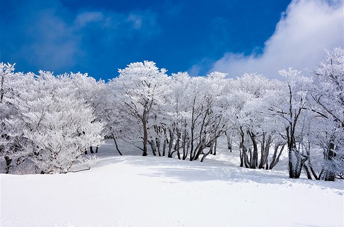 美しい雪景色