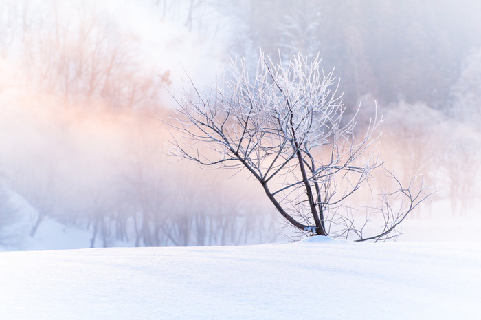 美しい雪景色