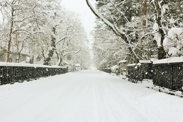 美しい雪景色