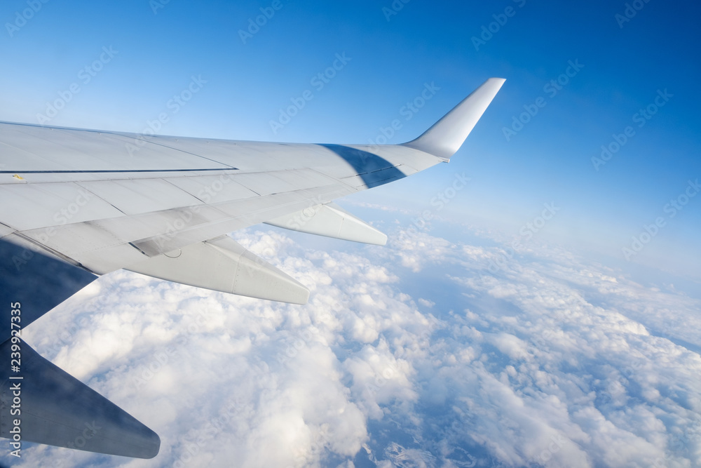 フォトパネル 飛行機 窓枠 Airbus A300 エアバス 写真入れ - フォト 